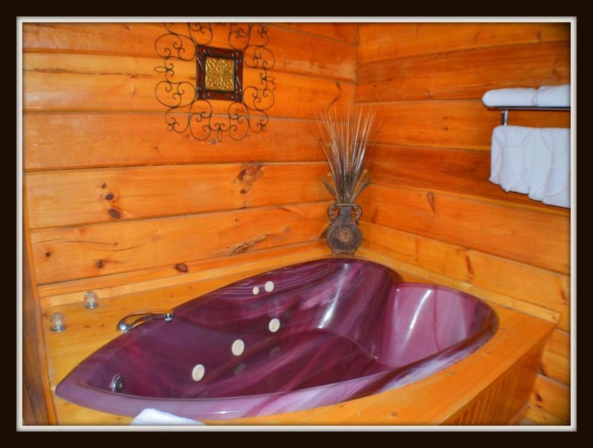 Priscilla Heights Lane Cabin 3301 Pigeon Forge Dış mekan fotoğraf